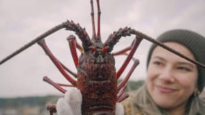 Episodio 8