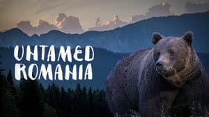 Rumania indomable — foto 9