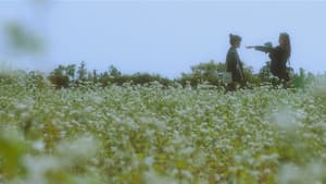 너와 나 — foto 3