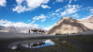 Mountain: Life at the Extreme — foto 4