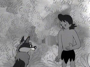 Episodio 29