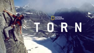 Torn — foto 7