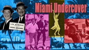 Miami Undercover — foto 1