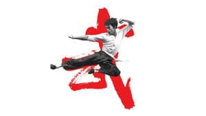 Yo soy Bruce Lee — foto 1
