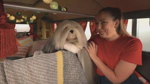 Episodio 19