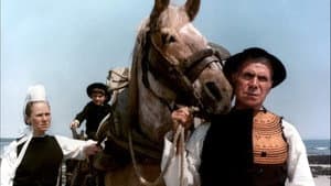 Le Cheval d'orgueil — foto 1