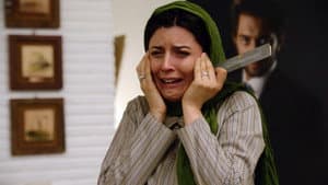 بی پولی — foto 1