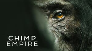 El imperio de los chimpancés — foto 4