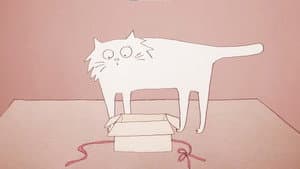 Why Do Cats Act So Weird? — foto 1