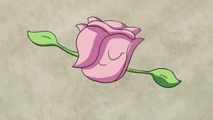 A Flor e a Lagarta — foto 3