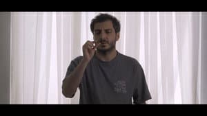 پورتال P — foto 4