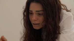 Episodio 36
