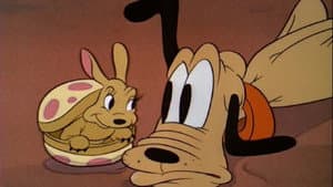 Pluto and the Armadillo — foto 1
