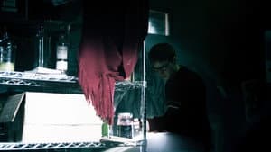 Chiroptera — foto 3