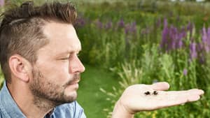 Jimmy's Big Bee Rescue — foto 1