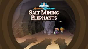 Episodio 12