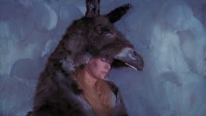 Piel de burro — foto 9