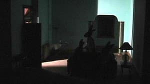 Rabbits — foto 7