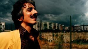Mio cognato — foto 2