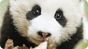Expedición a China — foto 4