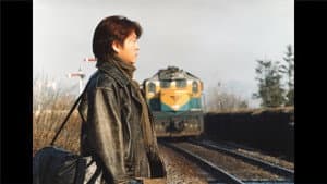 정글 스토리 — foto 1