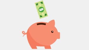Pay Pig — foto 1
