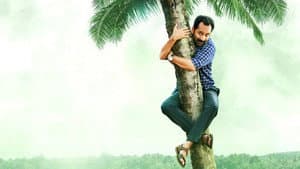ഞാൻ പ്രകാശൻ — foto 2