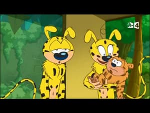 Episodio 14