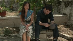 Episodio 29