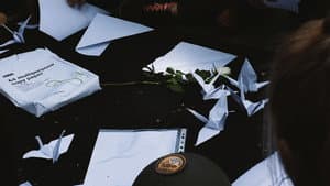 見光 — foto 5