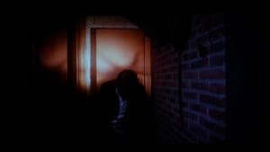 Luz de Penumbra — foto 3
