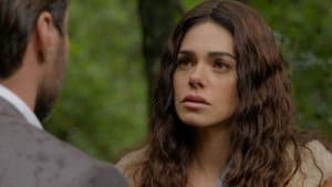 Episodio 14