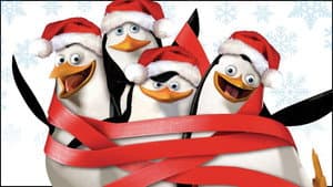 Pinguinos Mision Navideña — foto 4
