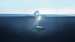 Shark Below Zero — foto 3