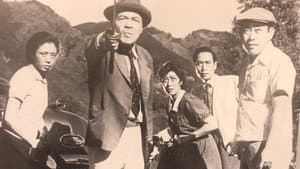 狼 — foto 1