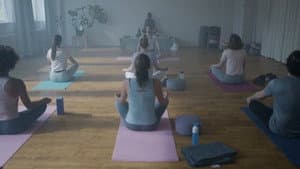 Downward Facing Dogs — foto 2