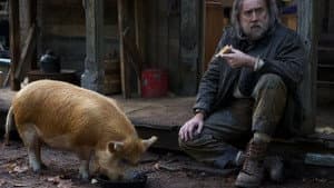 Pig — foto 2