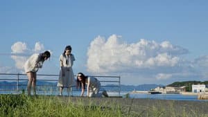 しまねこ — foto 1