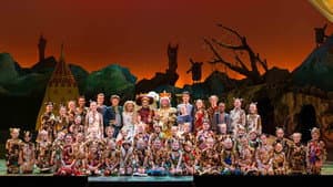 De Sprookjesmusical: De gelaarsde Kat — foto 7