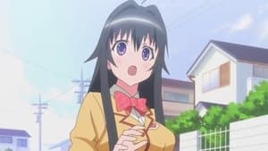 Episodio 12