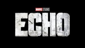 Echo — foto 11