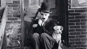 Vida de perro — foto 4