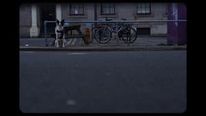 Silence — foto 3