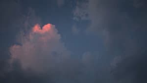 Past Calling — foto 11