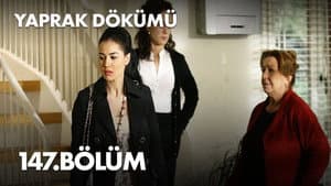 Episodio 147