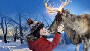 Prancer: un cuento de Navidad — foto 5