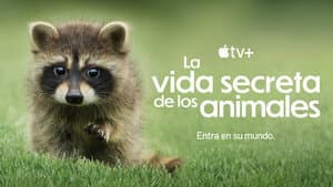 La vida secreta de los animales — foto 7