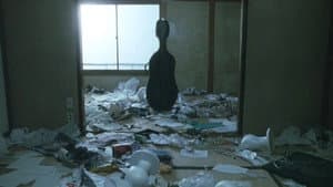 奇妙なサーカス — foto 8