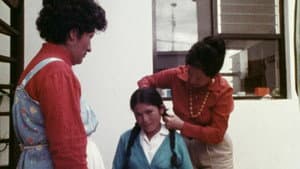 Antuca — foto 1