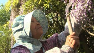 Grandma's Eternal Forest — foto 1